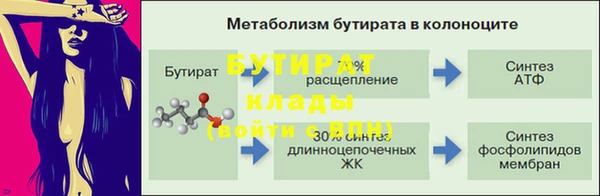 шишки Беломорск