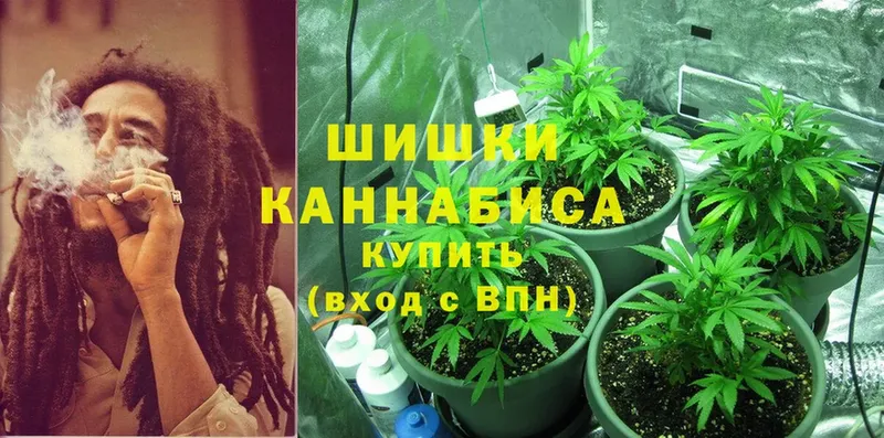 Шишки марихуана OG Kush  ссылка на мегу рабочий сайт  Дзержинский 